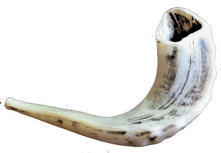 shofar